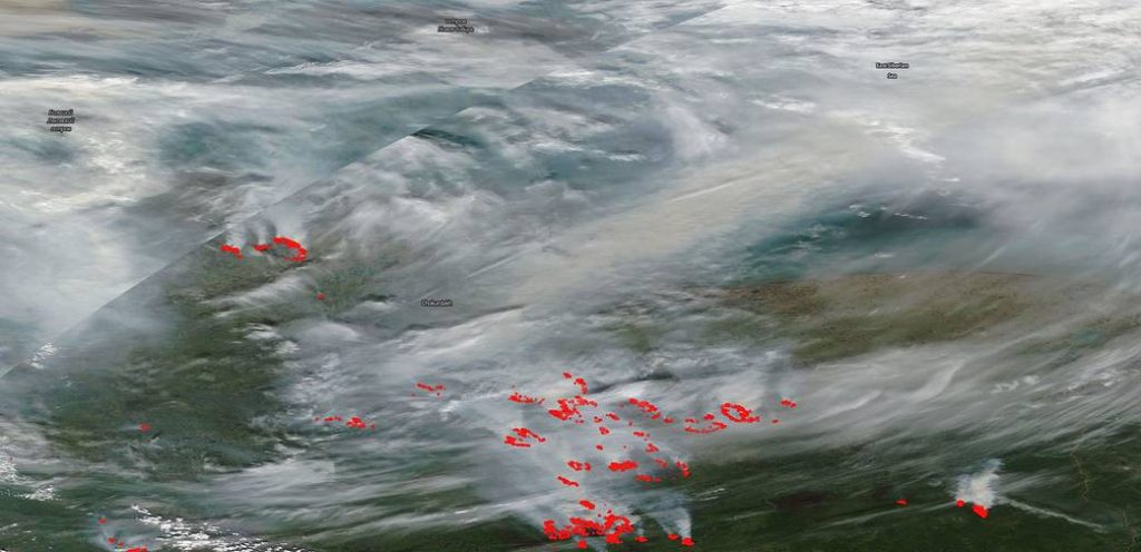 Hurricanes and Arctic Fires: A World Slipping Away Unnoticed – RADIO ECOSHOCK